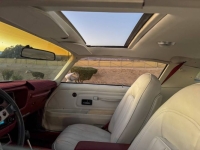 1977 Pontiac Firebird for sale in Michigan (ID-146706)