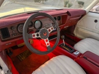 1977 Pontiac Firebird for sale in Michigan (ID-146706)