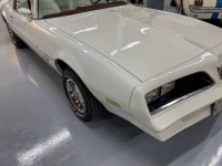1977 Pontiac Firebird for sale in Michigan (ID-146706)