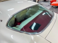 1977 Pontiac Firebird for sale in Michigan (ID-146706)