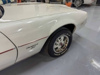 1977 Pontiac Firebird for sale in Michigan (ID-146706)