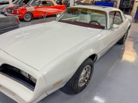 1977 Pontiac Firebird for sale in Michigan (ID-146706)