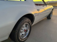 1977 Pontiac Firebird for sale in Michigan (ID-146706)