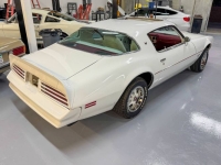 1977 Pontiac Firebird for sale in Michigan (ID-146706)