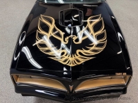 1977 Pontiac Firebird for sale in Riverhead, New York (ID-154853)