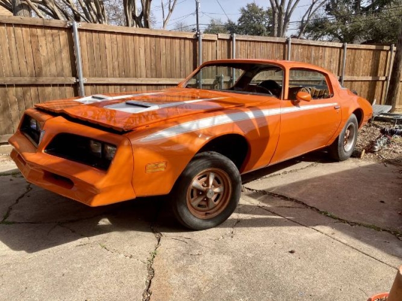 1977 Pontiac Firebird for sale in Michigan (ID-161568)