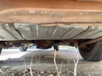 1977 Pontiac Firebird for sale in Michigan (ID-161568)