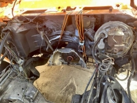 1977 Pontiac Firebird for sale in Michigan (ID-161568)