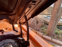 1977 Pontiac Firebird for sale in Michigan (ID-161568)