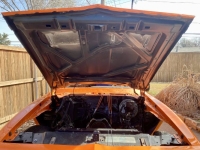 1977 Pontiac Firebird for sale in Michigan (ID-161568)