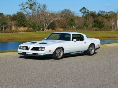 1977 Pontiac Firebird for sale
