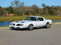 1977 Pontiac Firebird for sale (ID-161763)