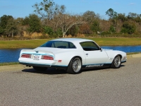 1977 Pontiac Firebird for sale (ID-161763)