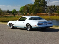 1977 Pontiac Firebird for sale (ID-161763)