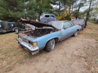 1977 Pontiac LeMans for sale in Michigan (ID-137115)