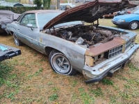 1977 Pontiac LeMans for sale in Michigan (ID-137115)