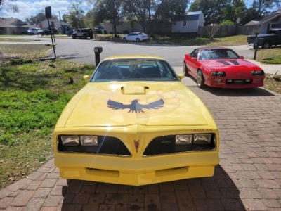 1977 Pontiac Trans Am for sale