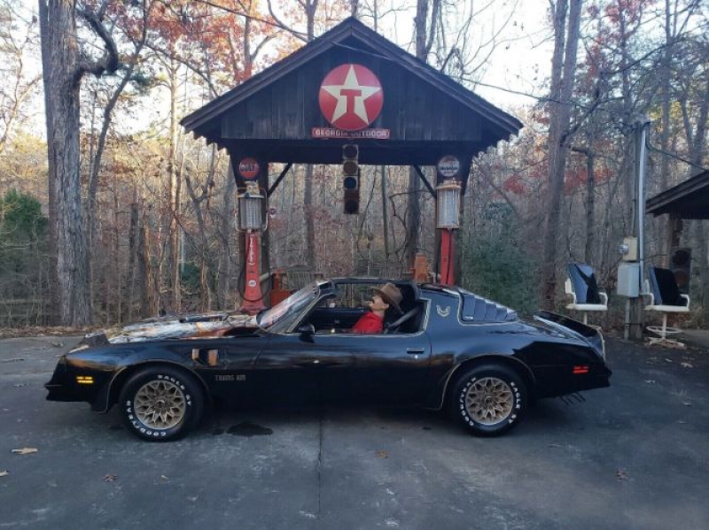 1977 Pontiac Trans Am for sale in Michigan (ID-109332)