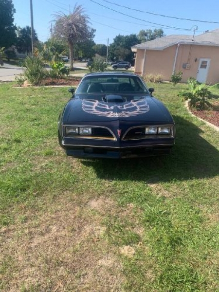 1977 Pontiac Trans Am for sale in Michigan (ID-116581)