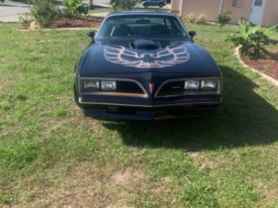 1977 Pontiac Trans Am for sale