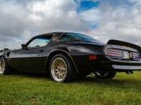 1977 Pontiac Trans Am for sale (ID-121932)