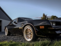 1977 Pontiac Trans Am for sale (ID-121932)