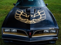 1977 Pontiac Trans Am for sale (ID-121932)