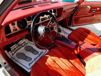 1977 Pontiac Trans Am for sale in Michigan (ID-123235)