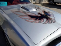 1977 Pontiac Trans Am for sale in Michigan (ID-123235)