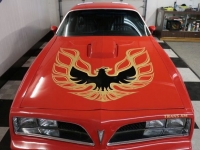 1977 Pontiac Trans Am for sale in Riverhead, New York (ID-123968)