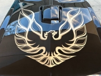 1977 Pontiac Trans Am for sale in Riverhead, New York (ID-124931)