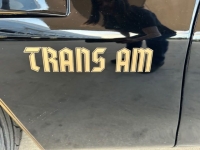 1977 Pontiac Trans Am for sale in Riverhead, New York (ID-124931)