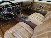1977 Pontiac Trans Am for sale in Addison, Illinois (ID-126876)