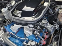 1977 Pontiac Trans Am for sale in Addison, Illinois (ID-126876)