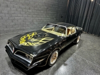 1977 Pontiac Trans Am for sale in Addison, Illinois (ID-126876)