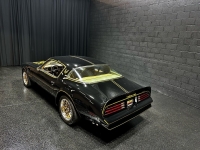 1977 Pontiac Trans Am for sale in Addison, Illinois (ID-126876)