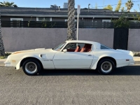 1977 Pontiac Trans Am for sale in Michigan (ID-128479)