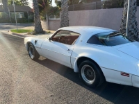 1977 Pontiac Trans Am for sale in Michigan (ID-128479)