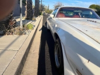 1977 Pontiac Trans Am for sale in Michigan (ID-128479)