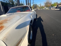 1977 Pontiac Trans Am for sale in Michigan (ID-128479)