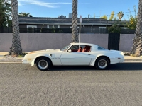 1977 Pontiac Trans Am for sale in Michigan (ID-128479)
