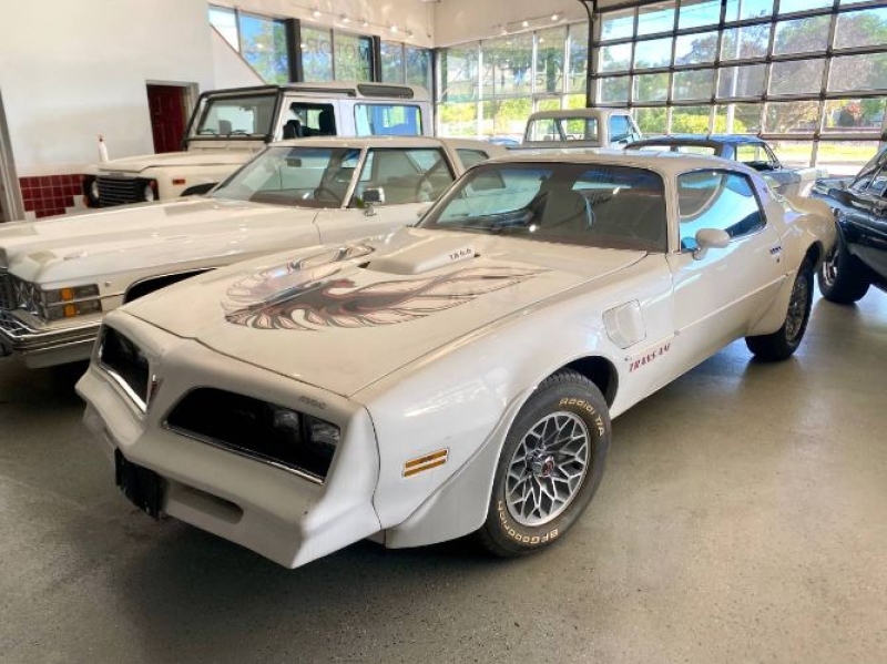 1977 Pontiac Trans Am for sale in Michigan (ID-130343)