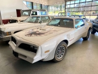 1977 Pontiac Trans Am for sale in Michigan (ID-130343)