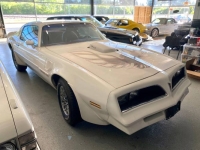 1977 Pontiac Trans Am for sale in Michigan (ID-130343)