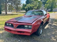 1977 Pontiac Trans Am for sale in Michigan (ID-131219)