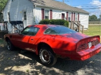 1977 Pontiac Trans Am for sale in Michigan (ID-131219)