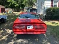 1977 Pontiac Trans Am for sale in Michigan (ID-131219)