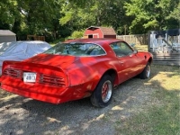 1977 Pontiac Trans Am for sale in Michigan (ID-131219)