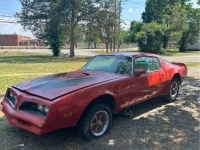 1977 Pontiac Trans Am for sale in Michigan (ID-131219)