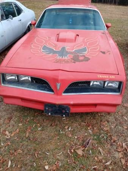 1977 Pontiac Trans Am for sale in Michigan (ID-137562)